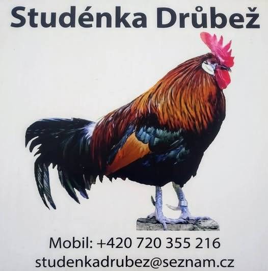Nabízí k prodeji: Kuřice různých barev, chovné kohouty, kačeny, husokačeny, housata, krůty širokoprsné bílé, krůty bronzové, krmné směsi a vitamíny. Nabídka prodeje se může změnit.  Datum: 02.05.2026 9:00 - 9:15 : Kunčice pod O.  - autobusová zastávka Huťařství  9:15 - 9:30 : Kunčice pod O.  - parkoviště u kostela  Prodej i v místě Studénka po tel. domluvě 720 355 216
