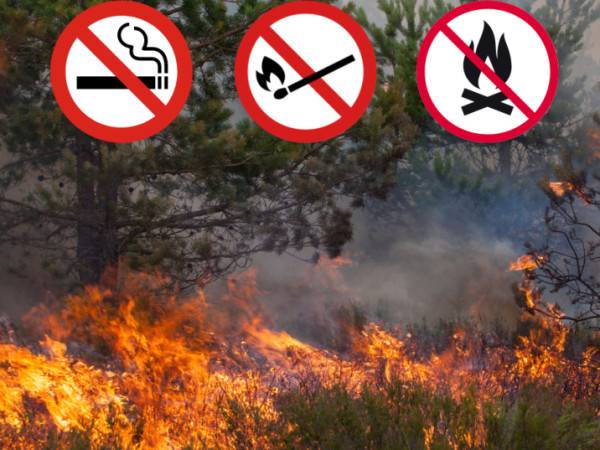 pre celé územie okresu Čadca a Kysucké Nové Mesto od 28. 04. 2026 od 08.00 hod. do odvolania