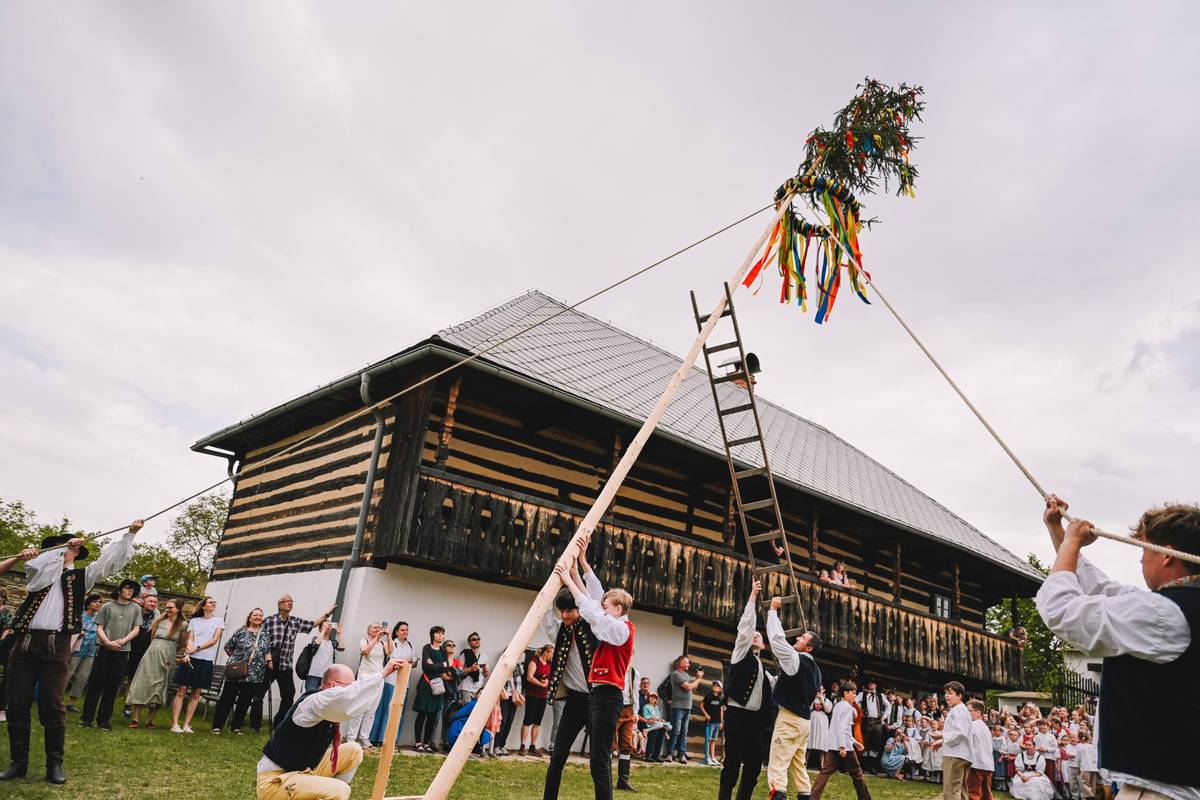 📍 Májový den tradic, řemesel, folkloru a dobrého jídla, který spojí dvě lidové slavnosti, a to Slavnosti chleba a tradiční Stavění máje všem pannám hradeckým. 📍 První květnová sobota, která letos připadá na 2. května, nabídne na Šrámkově statku ukázku pečení chleba s ochutnávkami, průvod chasy a postavení máje na dvoře statku, vystoupení folklorních souborů a lidových muzik na pódiu Pod dubem, pohádky a lidové tvoření ve stodole i v roubence. 📍 Nebude chybět ani nabídka výrobků drobných řemeslníků a občerstvení včetně pochutin z grilu. Program začíná v 10 hodin a pokračuje až do večera. 🔗 Více informací naleznete na www.sramkuvstatek.cz.