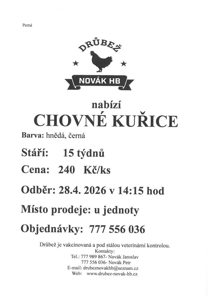 Drůbež Novák HB- drůbežárna Mírovka, prodává 28. 4. 2026 ve 14:15 hodin před prodejnou Jednoty, nosné kuřice před snůškou, stáří 15 týdnů, cena 240 Kč za kus, barva hnědá a černá.