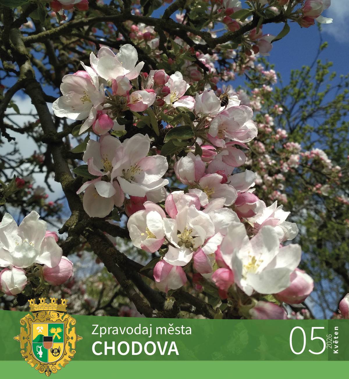 CHODOV (28. 4. 2026) -  Nové vydání Zpravodaje města Chodova v elektronické podobě je k dispozici. Kromě pravidelných rubrik si v květnovém vydání můžete přečíst, jak probíhal u ochránců přírody Den Země, kdy bude další kurz k finanční gramotnosti nebo jak by mohla vypadat nová kaple na farní zahradě. Zpravodaj města Chodova můžete brzy najít také v aplikaci Munipolis (dříve Mobilní rozhlas), a to v dlaždici s označením Chytrý zpravodaj.  V tištěné podobě najdete zpravodaj ve vašich schránkách počátkem května, pokud tomu tak nebude, ozvěte se na adresu: zpravodaj@kasschodov.cz. Máte-li zájem o zasílání Zpravodaje města Chodova přímo do vašeho emailu, dejte vědět do redakce na výše uvedenou emailovou adresu. Zpravodaj naleznete v příloze níže.
