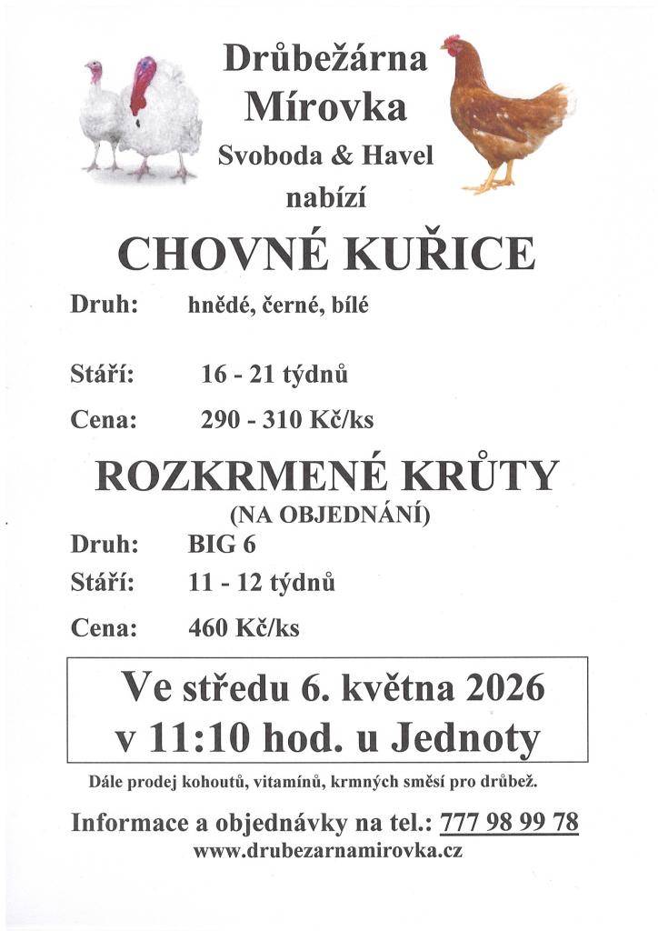 Dne 6. 5. 2026 od 11:10 proběhne u obchodu v Čachovicích prodej chovných kuřic. Cena: 290–310 Kč/ks. Objednávky na tel. čísle 777 989 978.