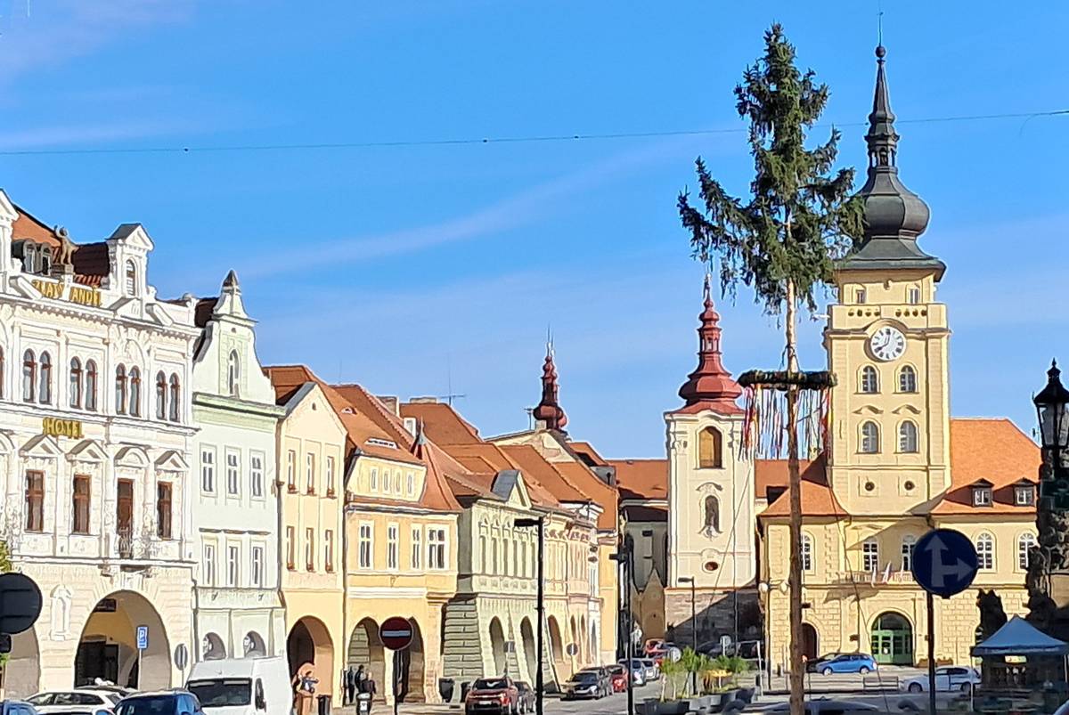 Tradiční májka a třináct velkých květináčů s malými břízkami zdobí náměstí Svobody.   Po vánoční a velikonoční výzdobě tak centrum města oživuje i jarní tématika, která je s 1. májem dlouhodobě spojena. V centru Žatce stojí májka ze smrku, který se k tomuto účelu používá proto, že jeho kmen bývá rovný a vysoký, navíc déle vydrží. Někdy se používá bříza, jež symbolizuje mládí, čistotu a nový život. Je zajímavé, že při stavění máje lze kombinovat i oba stromy, tedy smrkový kmen a na jeho vrchol umístit březovou korunu.      Májku a květináče umístili na náměstí Svobody pracovníci Technické správy města Žatce. Městský úřad jedná s památkovými úřady, zde jarní výzdoby zůstane v centru jen krátkodobě, nebo bude možné ji nechat po dobu turistické sezóny, aby mobilní zeleň pomohla oživit historické centrum královského města. (kas)