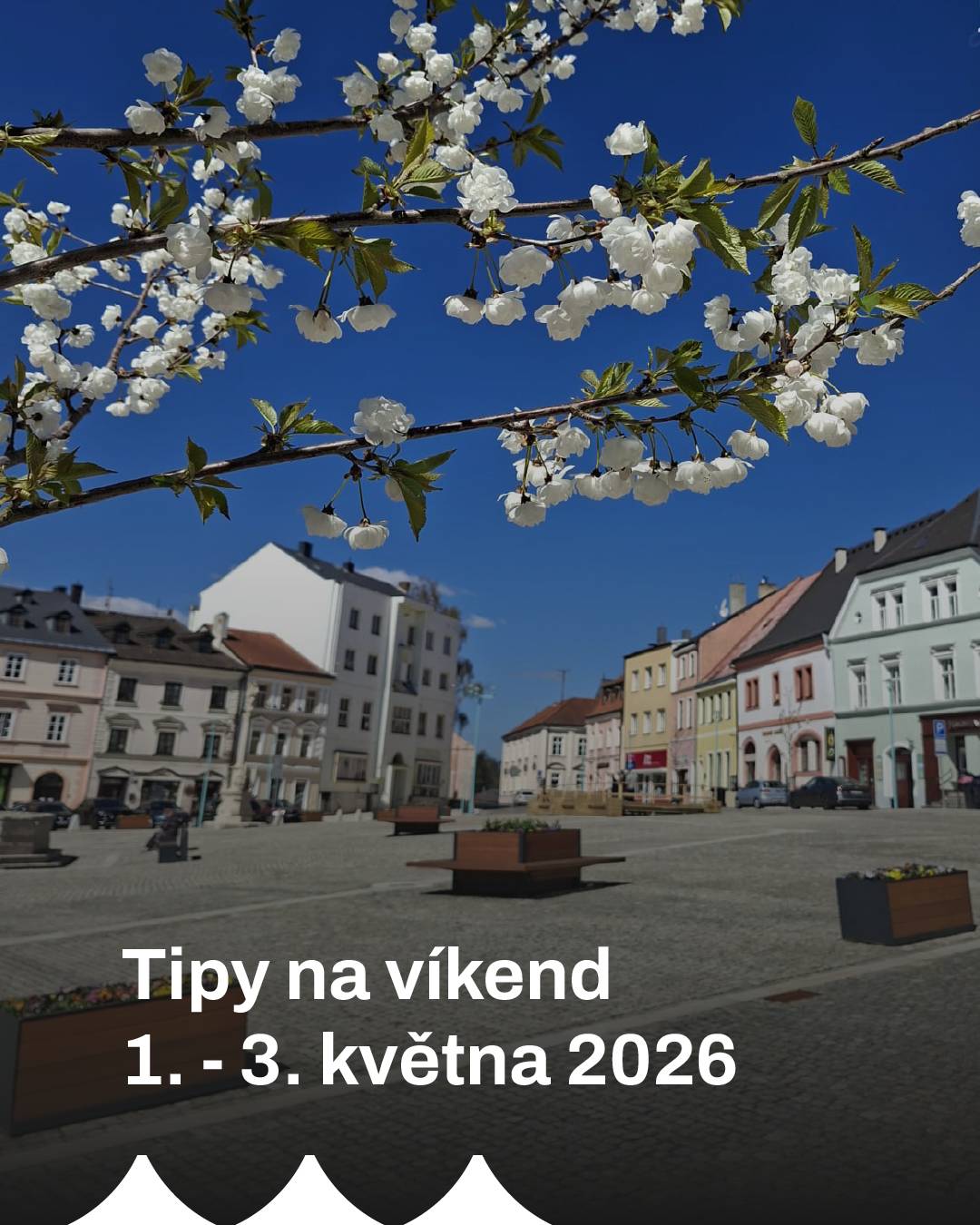 Přinášíme vám tipy na následující víkend: pátek 1. května Sváteční komentované prohlídky Na státní svátek si připravila Jízdárna speciální kostýmované prohlídky. Ty začínají v 10.00, 11.30, 13.00. 14.30 a 16.00 hod. Vstupné dle aktuálního ceníku. https://www.jizdarnasvetce.cz/ Vítání ptačího zpěvu v Tachově Vycházka za poznáváním ptačích hlasů, kde si bude možné také vyzkoušet pozorování ptáků pomocí stativového dalekohledu. Sraz v 07.30 hod. na vlakovém nádraží v Tachově, odkud se vydáme po trase: vlakové nádraží – střelnice Tachov – Vilémov (Šmatlavý rybník) – Bíletín – nádraží Lom u Tachova (zhruba 5 km, převážně nenáročný terén). Doprava zpět je možná vlakem z Lomu u Tachova. Průvodci: Mgr. Martin Liška (Muzeum Českého lesa v Tachově) a RNDr. Milena Prokopová, Ph.D. (AOPK ČR, RP Správa CHKO Český les). Akce se koná za každého počasí! Vlastní dalekohled výhodou. Fotbal – muži A – 4. česká fotbalová liga Další zápas čeká tachovský „A“ tým proti týmu Povltavská FA, který je 2. v tabulce. Začátek utkání v 15.00 hod. na městském stadionu. sobota 2. května Myslivecký den v Kočově (mimotachovský tip) Okresní myslivecký spolek pořádá myslivecký den. Během dne proběhne jarní svod loveckých psů, ukázka sokolnictví, výstava chovatelských trofejí i prodej loveckých potřeb. Těšit se můžete také na zvěřinové speciality a laserovou střelnici. Akce začíná v 09.00 hodin, vstupné dobrovolné. Fotbal – starší žáci – okresní přebor V sobotu dopoledne vyběhnou na tachovský fotbalový stadion starší žáci bojující v okresním přeboru. Proti soupeři Dlouhý Újezd/Studánka nastoupí v 10.00. Tenis – oblastní přebor dospělých První mistrovské utkání družstva dospělých se uskuteční na domácích kurtech v sobotu dopoledne. Prvním soupeřem bude družstvo TC Ostrov. Jsou srdečně zváni všichni fanoušci. Basketbal – Západočeská liga žen Poslední domácí zápas žen basketbalistek proti týmu BCM Sokolov. Začátek v 17.00 hodin ve sportovní hale. Přijďte zafandit. Plektrum – koncert Sál u Bělčáka vás zve na koncert chebské rockové skupiny PLEKTRUM. Čeká tě večer plný kytarových riffů, divoké show a pravé rockové jízdy. Začátek koncertu ve 20.00 hodin, vstup 150 Kč. neděle 3. května Hudba světla a smíření – koncert v Jízdárně Světce Koncert londýnského pěveckého sboru Islington Choral Society pod vedením Michaela Waldrona, věnovaný tvorbě Gabriela Faurého. Zazní zejména jeho Requiem a další skladby. Vstupné dobrovolné. Sezení není číslované, doporučujeme přijít včas. Začátek koncertu v 15.00 hodin.