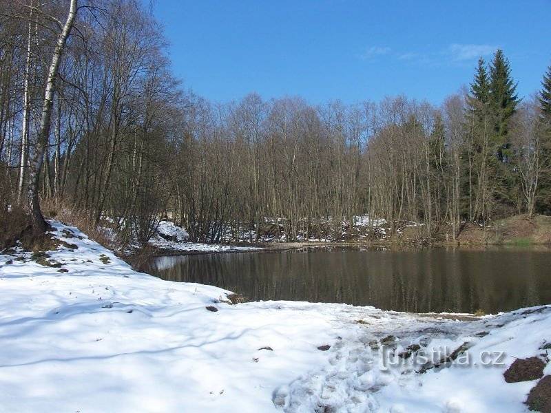Místo Prachatice Zeměpisná šířka 49.11959 Zeměpisná délka 13.62309 Typ Jezero