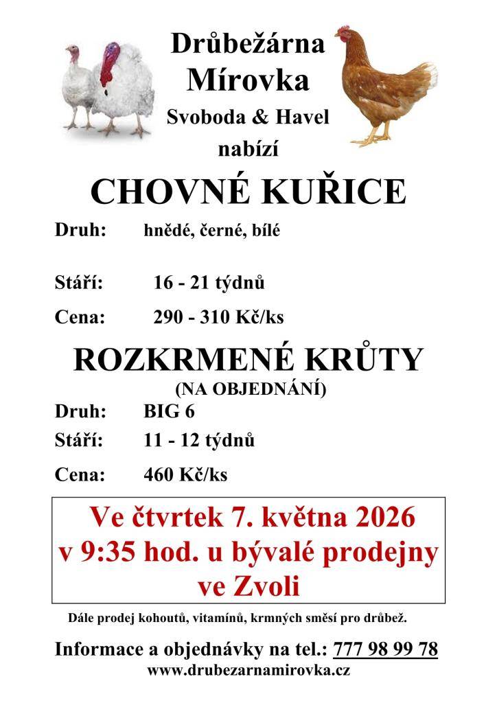 Prodej kuřic 7.5.2026