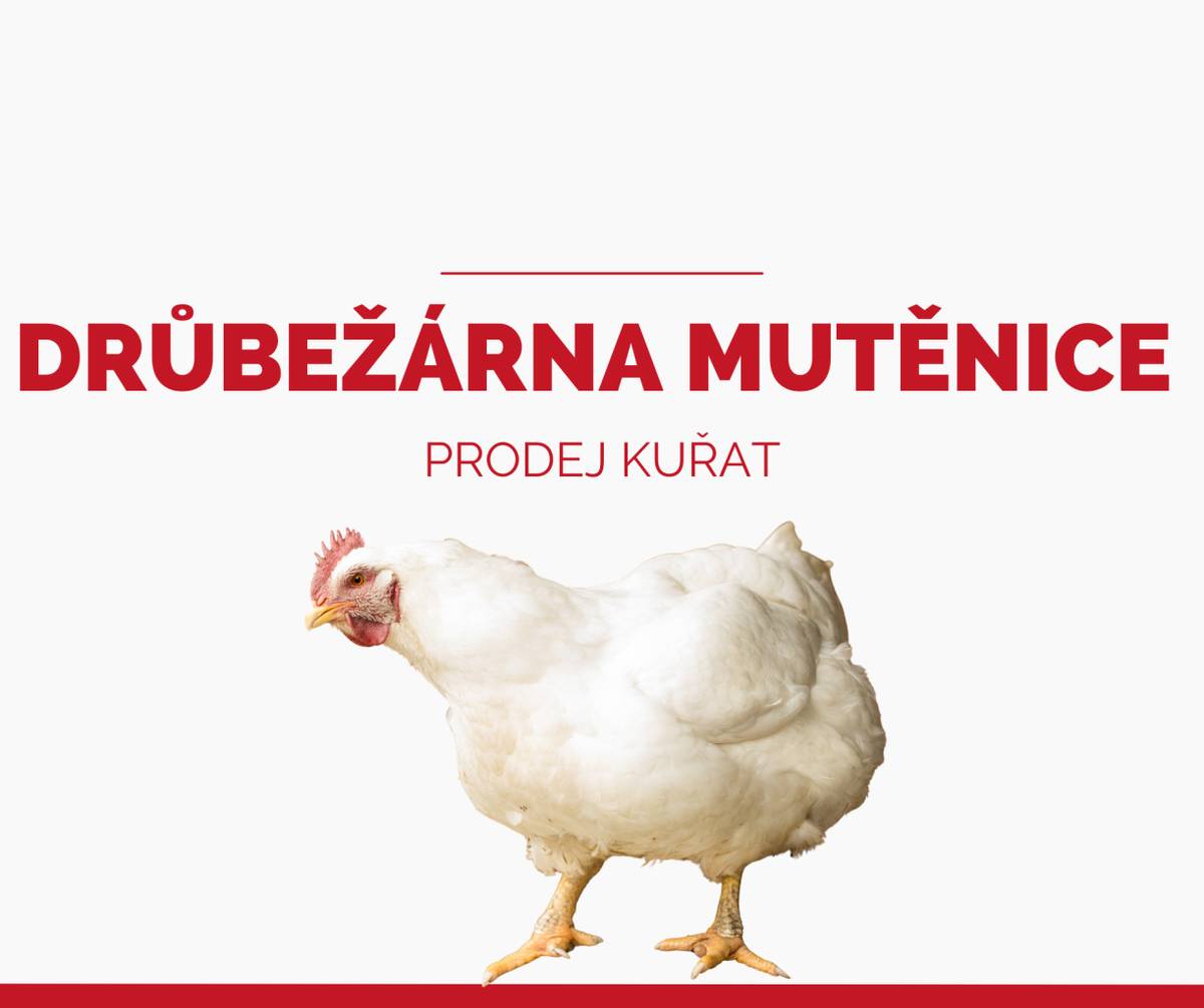 Kdy: ÚTERÝ 28.4.2026 od 8:00 do 12:00  Kde: Drůbežárna Mutěnice