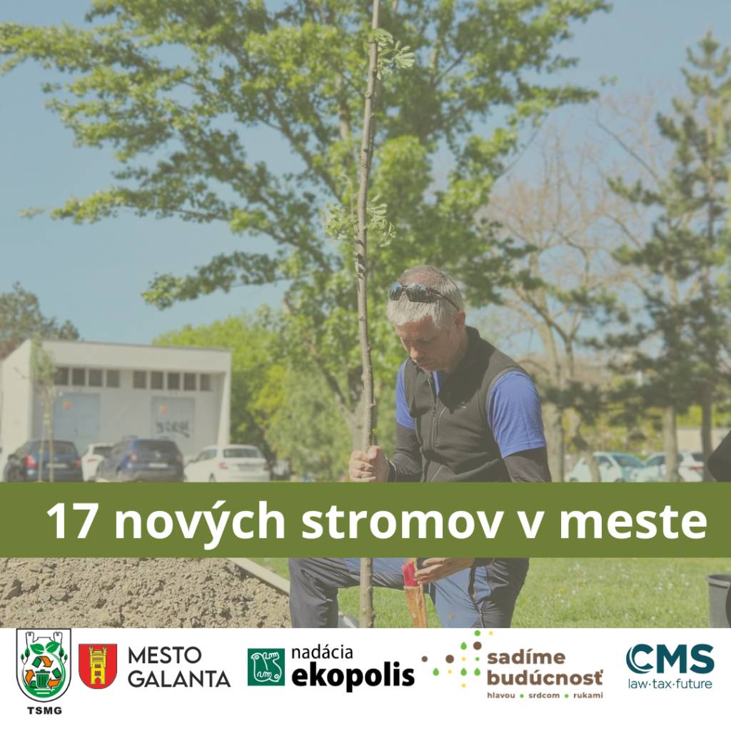Spoločnými silami sme vysadili nový sad vo vnútrobloku na sídlisku SNP, čím sme opäť prispeli k skvalitneniu životného prostredia v meste.