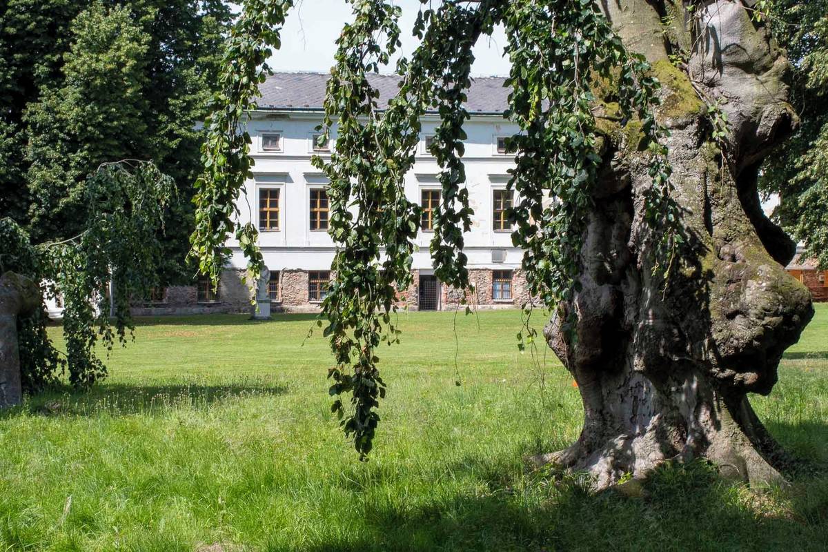 Jindřichovský zámecký park je z dendrologického hlediska velmi hodnotný. Patří k nejcennějším historickým parkům Osoblažska. Jeho vznik sahá do 17. století. Přiléhá k původní tvrzi, empírově přestavěnému zámku.