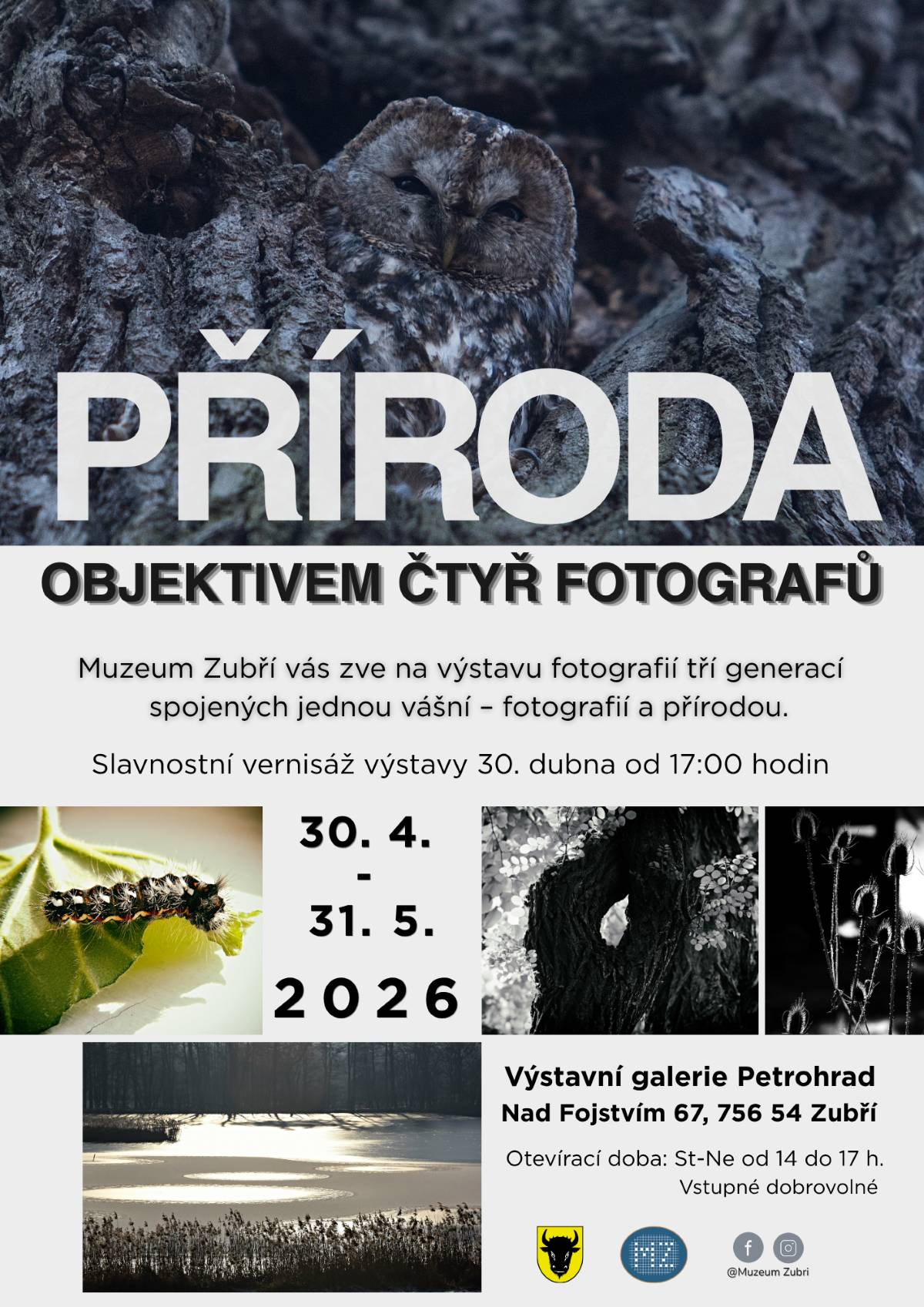 Protože možná zjistíte, že přírodu jste ještě nikdy neviděli takhle. Výstava Příroda objektivem čtyř fotografů je zahájena — a stojí za malý výlet.  Navíc je otevřená i ve dnech státních svátků. Co vás čeká? Setkání tří generací fotografů. Od prvních kroků s fotoaparátem až po více než šedesát let zkušeností. Různé pohledy, jeden svět. Tady se nespěchá. Fotografie nejsou zásahem, ale tichým pozorováním. Skloníte se Mezi stébly, ztratíte se Mezi stromy, zastavíte se Na vodní hladině a možná nakonec najdete klid V krajině ticha. 🌿 Zkuste na chvíli zpomalit. Těšíme se na vás v Muzeu Zubří.