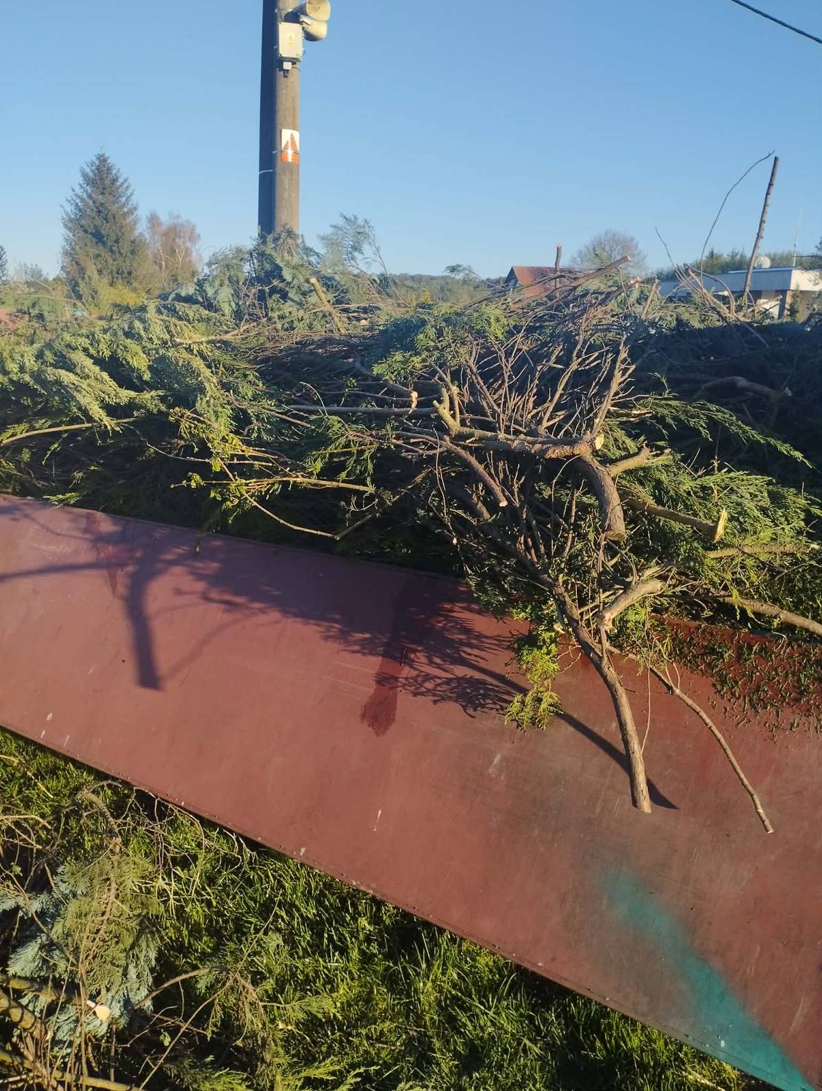 1. Žádáme občany, aby do kontejneru na bioodpad nevhazovali objemné větve! Zpracovatel je schopen vzít pouze krátké (nastříhané max 20cm) drobné větve do průměru max 5cm. Objemný odpad musí občané likvidovat valstními silami. Děkujeme za pochopení. 2. Připomínáme, že poplatek za psa (100,-kč) pro rok 2026 je splatný do 30.6.2026! Lze uhradit hotově v kanceláři obecního úřadu, nebo na účet č. 14720711/0100.