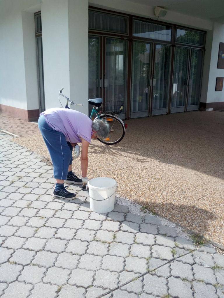 Úprava cintorínskej cesty