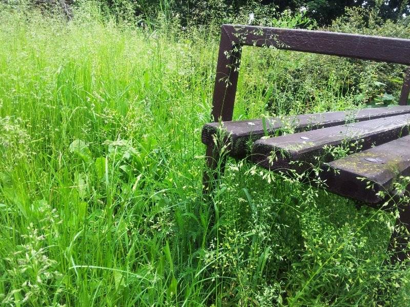 Mestský úrad Sliač oznamuje občanom, že v najbližších dňoch (5.5. - 6.5.) bude prebiehať kosenie cintorína Hájniky. Žiadame návštevníkov cintorína o zvýšenú opatrnosť pri pohybe a o rešpektovanie pracovníkov vykonávajúcich údržbu. Zároveň prosíme o obmedzenie návštev počas prebiehajúcich prác, pokiaľ je to možné. Ďakujeme za pochopenie
