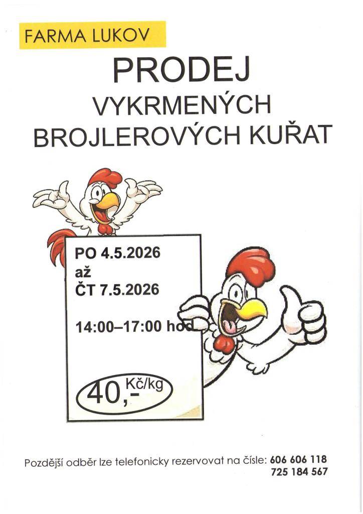 Prodej vykrmených brojlerových kuřat