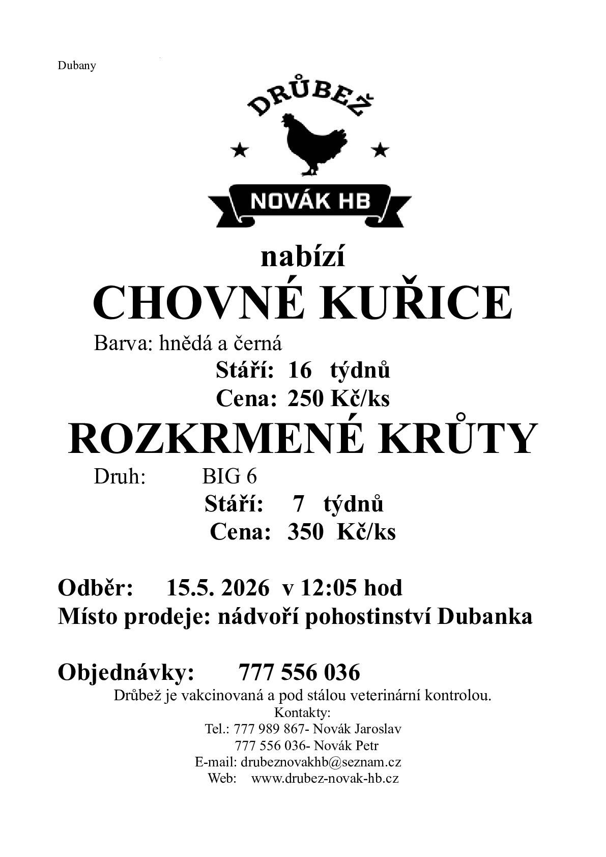 Vážení spoluobčané,společnost Drůbež Novák HB vás zve na prodej mladé drůbeže, který se uskuteční v naší obci. Veškerá nabízená drůbež je vakcinovaná a pod stálou veterinární kontrolou. 📅 Termín a místo prodeje Datum: 15. května 2026 Čas: 12:05 hod Místo: Nádvoří pohostinství Dubanka 🐣 Nabízený sortiment   Chovné kuřice Barva: hnědá a černá Stáří: 16 týdnů Cena: 250 Kč/ks   Rozkrmené krůty Druh: BIG 6 Stáří: 7 týdnů Cena: 350 Kč/ks   📞 Objednávky  Pro zajištění odběru doporučujeme provést objednávku předem na telefonním čísle: 777 556 036