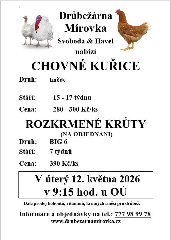 DRŮBEŽÁRNA MÍROVKA, Svoboda-Havel, prodává v úterý 12. května 2026 v 9:15 hod. u OÚ kuřice hnědé stáří 15 - 17 týdnů cena 280 - 300 Kč/ks. a krůty 7 týdnů, cena 390 Kč/ks. Objednání (doporučujeme) je možné na tel.: 777 98 99 78 nebo drubezarna.mirovka@seznam.cz.