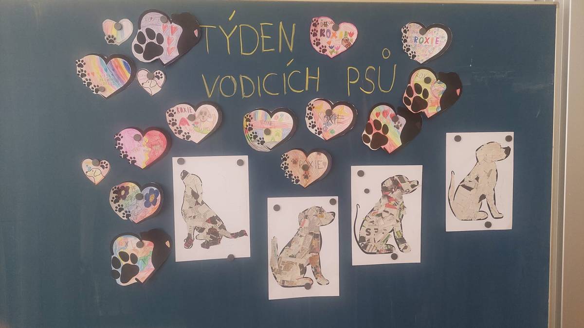Třída 1.E se na základě spolupráce s NF Mathilda zapojila do Mezinárodního týdne vodicích psů, který si připomínáme v posledním dubnovém týdnu.
