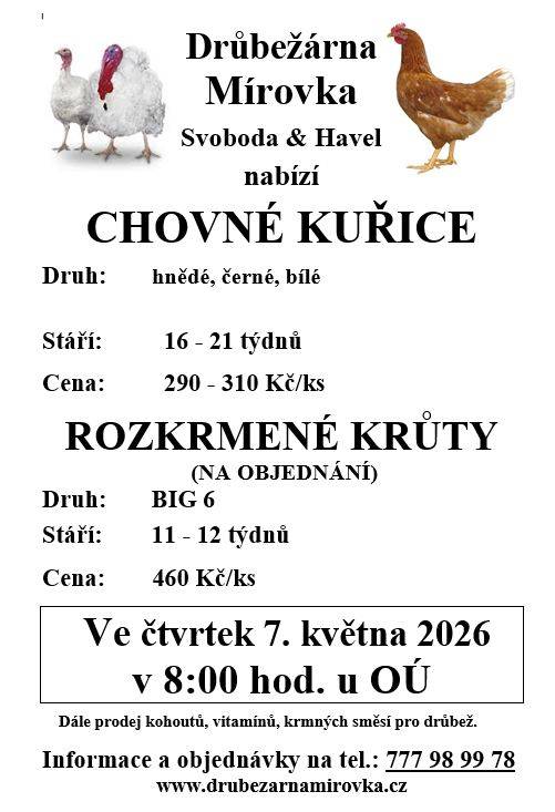 DRŮBEŽÁRNA MÍROVKA, Svoboda-Havel, prodává  ve čtvrtek 7. května 2026 v 8:00 hod. u OÚ  kuřice hnědé, černé a bílé stáří 16 - 21 týdnů cena 290 - 310 Kč/ks a krůty 11 - 12 týdnů, cena 460 Kč/ks.  Objednání (doporučujeme) je možné na tel.: 777 98 99 78 nebo drubezarna.mirovka@seznam.cz.