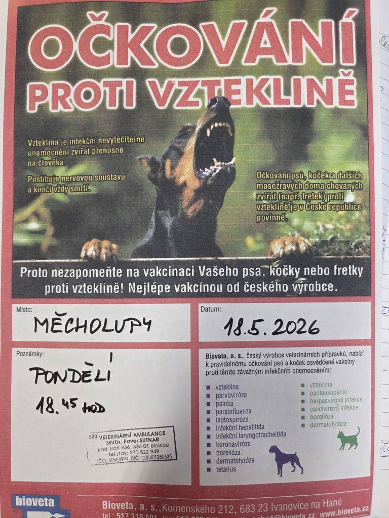 Pozvánka na očkování proti vzteklině psů, koček a fretek. V pondělí 18.5.2026 od 18:45, očkování provede MVDr. Pavel Sutnar.