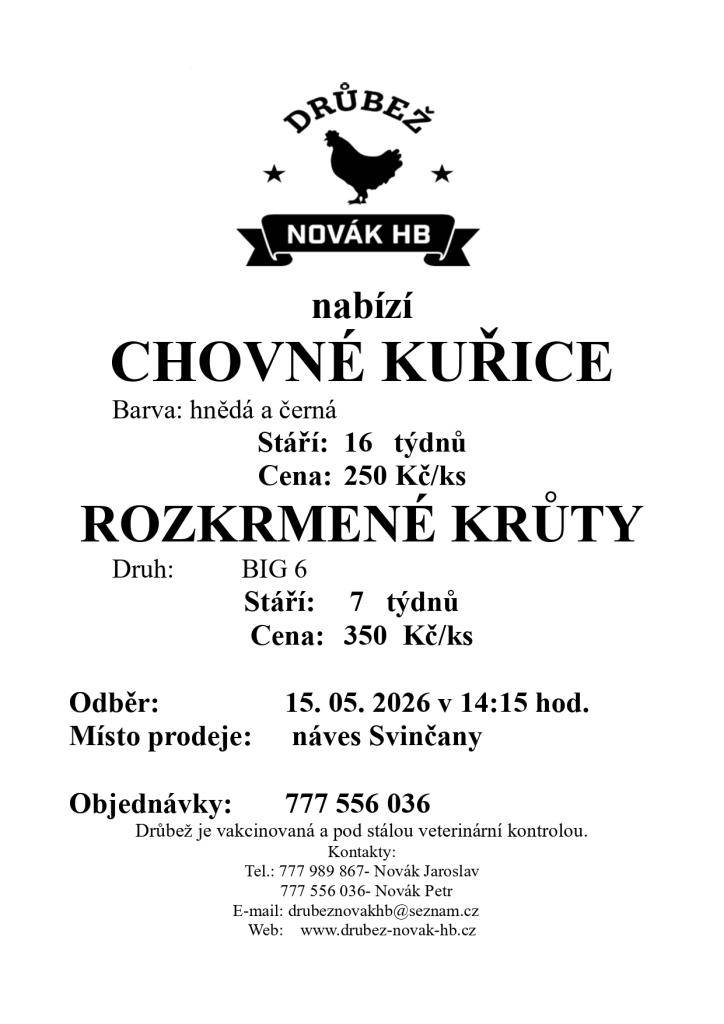 Nabízíme chovné kuřice v hnědé a černé barvě ve stáří 16 týdnů za cenu 250 Kč za kus. Dále máme k prodeji rozkrmené krůty druhu BIG 6, které jsou staré 7 týdnů a stojí 350 Kč za kus. Odběr proběhne 15. května 2026 v 14:15 hodin na návsi ve Svinčanech. Drůbež je pod veterinární kontrolou.