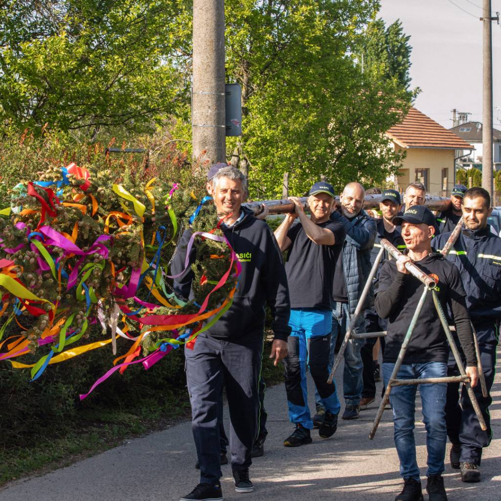 Stavanie mája patrí medzi milé tradície, ktoré spájajú ľudí a pripomínajú krásu jari. Farebné stužky nech sú symbolom radosti zo života a nádeje na pokojnejšie dni. Ten náš obecný máj už hrdo stojí.
