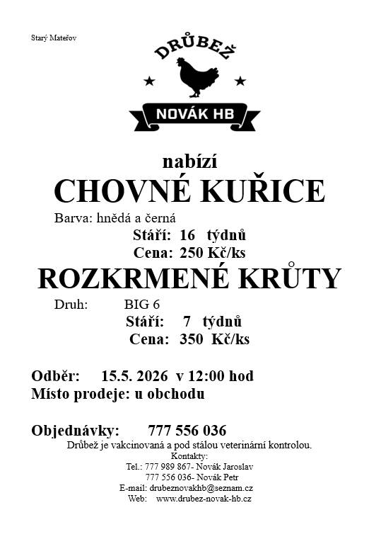 Prodej kuřic  15.5.2026 ve 12,00 hod. u obecního úřadu