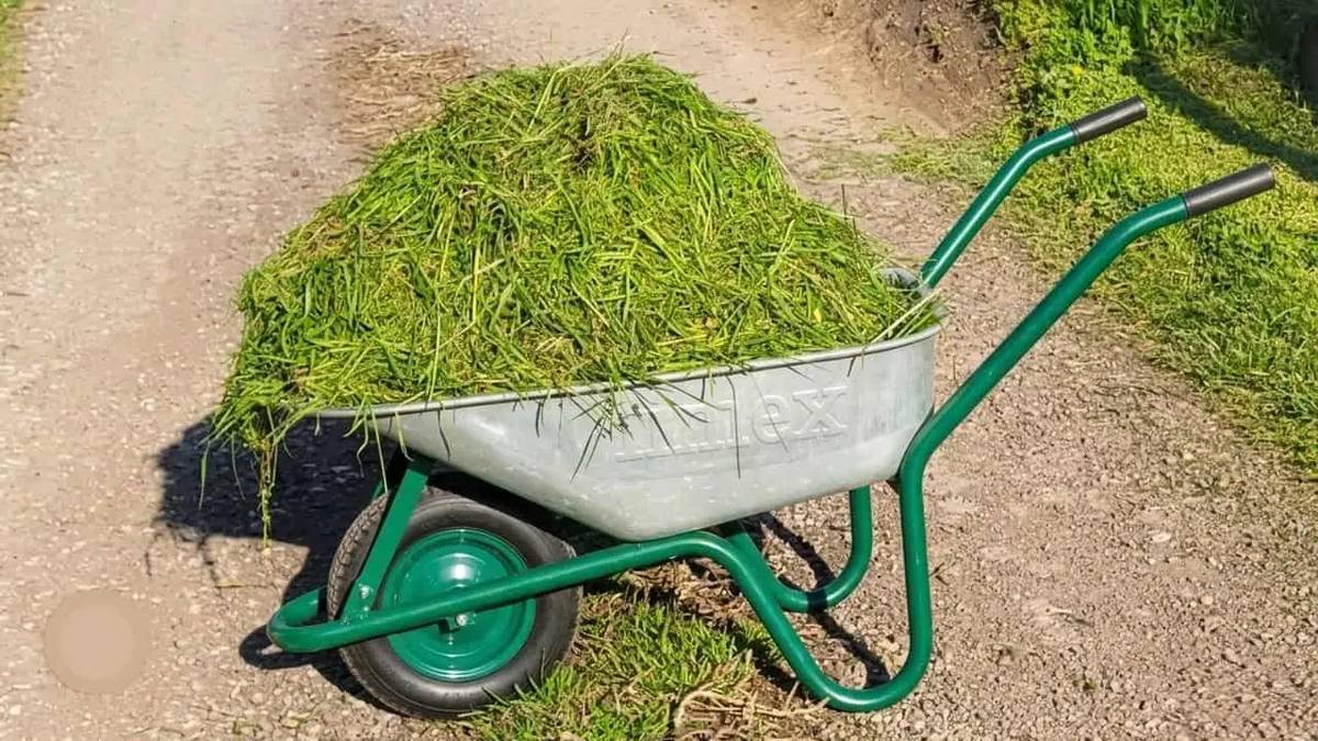 Vážení občania, za nehádzanie pokosenej trávy do potokov, na brehy potokov a za ekologické využitie trávy Vám patrí   VĎAKA.