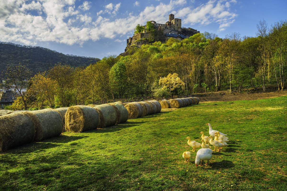 ⛪️ Kostel Nanebevzetí Panny Marie bude v pátek 8. 5. slavnostně nasvícen u příležitosti Dne vítězství 🎟️ Zvýhodněný balíček vstupenek TicketPack Vám umožní navštívit pět vybraných turistických cílů s více než 40% slevou a zároveň využít další zajímavé bonusy.  🏊♀️ Na odpočinek a relax můžete vyrazit do plaveckého a volnočasového areálu Koupaliště Brná nebo do Saunového světa v Plaveckém areál Klíše. PÁTEK 8. 5. ✅ Nenechte si ujít jubilejní 5. sraz amerických strojů a veteránů u hypermarketu Globus Trmice  ✅ Bunkr Velké Březno zve na  prohlídky vybaveného opevnění s průvodcem v dobové uniformě  ✅ Městský obvod Střekov zve na tradiční Otevírání řeky ✅ Bedna Ústí hostí koncert v rámci Pingi a Zandome tour  SOBOTA 9. 5.  ✅ Státní zámek Velké Březno hostí XXIV. ročník závodu autoveteránů O Pohár hraběte Chotka  ✅ Nenechte si ujít zápas v americkém fotbale Blades Ústí nad Labem vs. Nymburk Apes (hřiště FK Ústí) ✅ Veřejný sál Hraničář promítá tři filmy: Pohádky po babičce, Béé team na stopě a Billie Eilish: Hit Me Hard and Soft – The Tour  ✅ Divadlo města Ústí nad Labem uvede premiéru dětské opery Brundibár ✅ Čajovna u Vysmátý Žáby hostí koncert dvou kapel, ART BY THE CROOKED a PONDĚLÍ 18:00 ✅ Sál Šichtovka zve na diskotéku s hity z 80. a 90. let NEDĚLE 10. 5.  ✅ Bedna Ústí pořádá burzu CD a LP ze všech oblastní populární hudby  ✅ Veřejný sál Hraničář promítá dva filmy: Super Mario galaktický film a Hamnet ✅ Divadlo města Ústí nad Labem zve na 1. reprízu dětské opery Brundibár ✅ Sál Šichtovka pořádá první ze série příjemných posezení s tancem a hudbou s názvem Čaj o třetí ✅ V Bistro Park zahraje Pavel Nepivoda