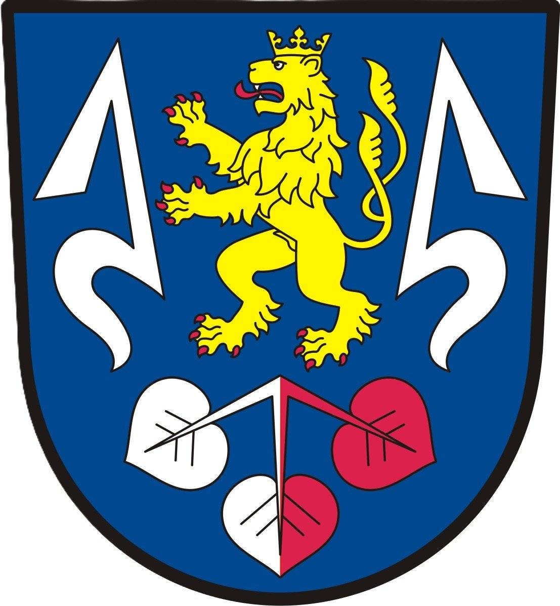 pokus