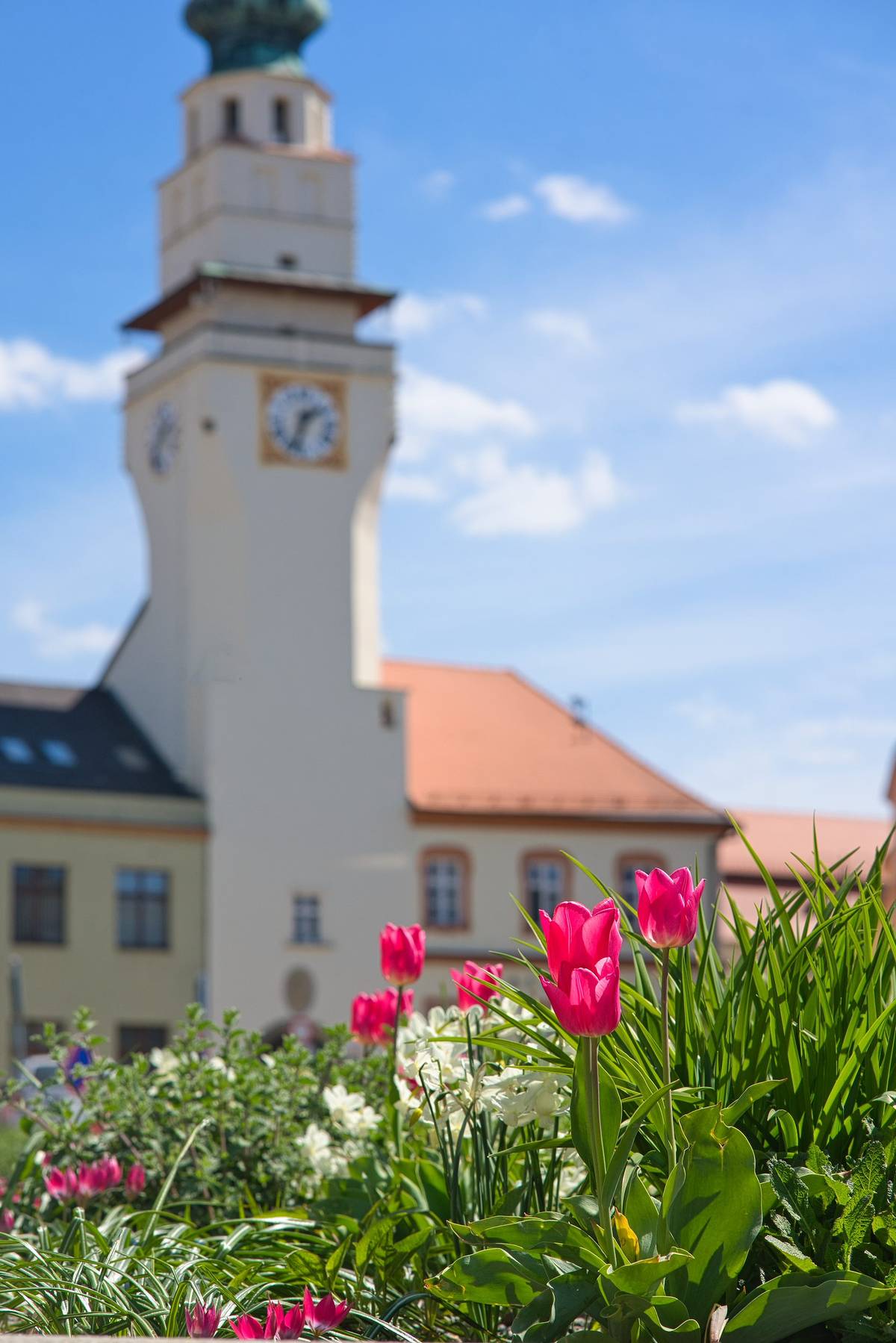 Rada města Boskovice zasedala v pondělí 4. května 2026 na svém pravidelném jednání, kde projednala řadu důležitých materiálů. Zabývala se například investicemi do škol, opravami chodníků a místních komunikací, rekonstrukcí obřadní síně, projektem Senior dopravy nebo pokračujícím zadávacím řízením na obnovu parku u zámeckého skleníku. Přehled hlavních přijatých rozhodnutí přinášíme níže.