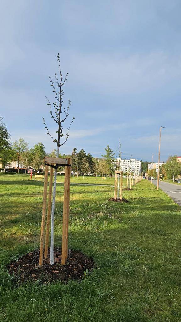 AKTUÁLNĚ Z RADNICE 7.5. 2026