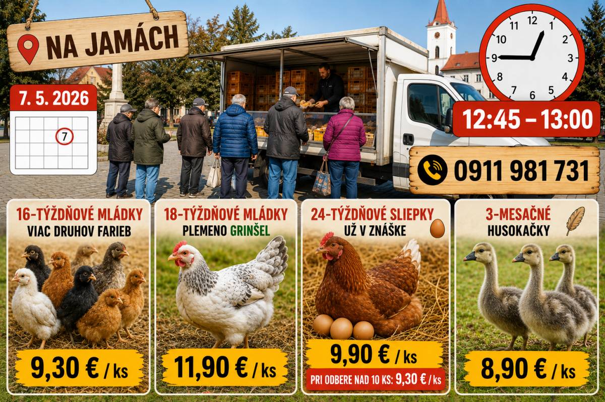Hydinárska farma Nové Zámky bude zajtra od 12:45 do 13:00 hod. na námestí Na Jamách predávať: 16-týždňové mládky rôznych farieb – 9,30€/ks, 18-týždňové mládky Green Shell – 11,90€/ks, 24-týždňové sliepky v znáške – 9,90€/ks (nad 10 ks za 9,30€/ks) a 3-mesačné husokačky – 8,90€/ks.