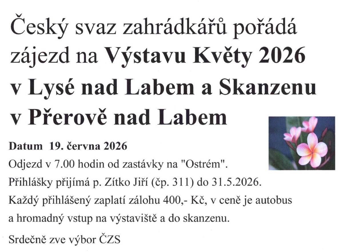 19.6.2026