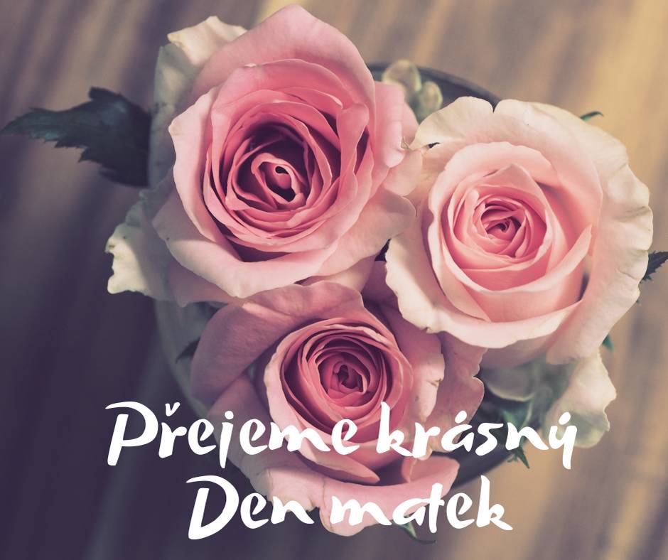 Přejeme krásný Den matek všem maminkám.