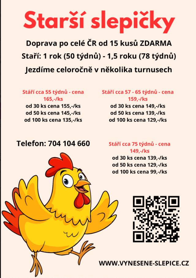 Objednávka na tel. čísle 704 104 660   Doprava po celé ČR od 15 kusů ZDARMA.  Stáří 1 rok a 1,5 roku