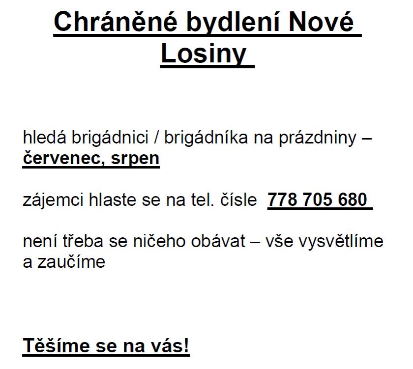 Letní brigáda