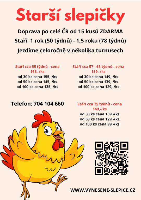 Nabídka slepic s dopravou zdarma.