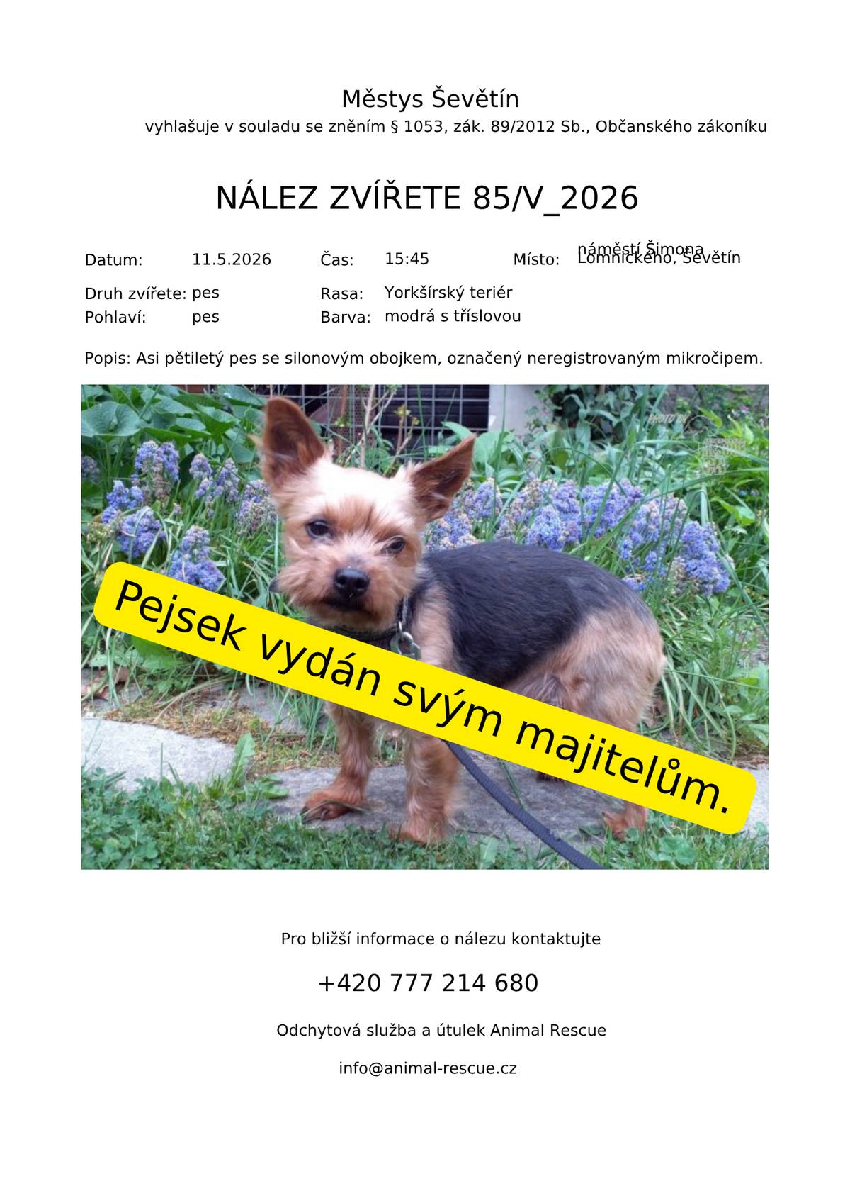 Nalezený pejsek je již doma u svých majitelů.
