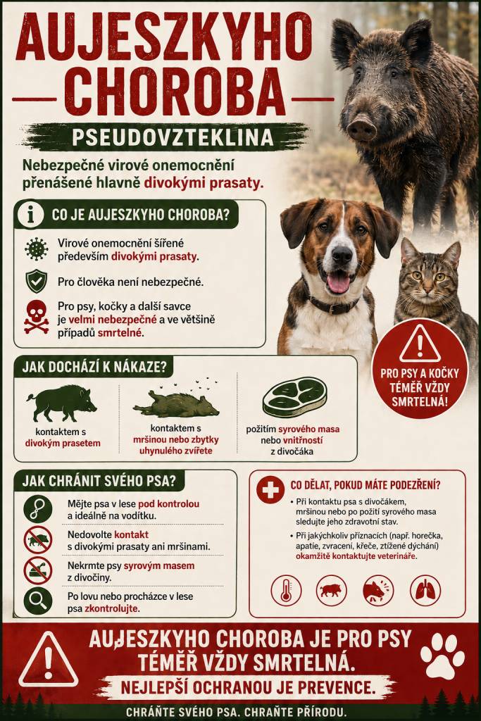 Informace o nebezpečné nemoci přenášené divokými zvířaty.
