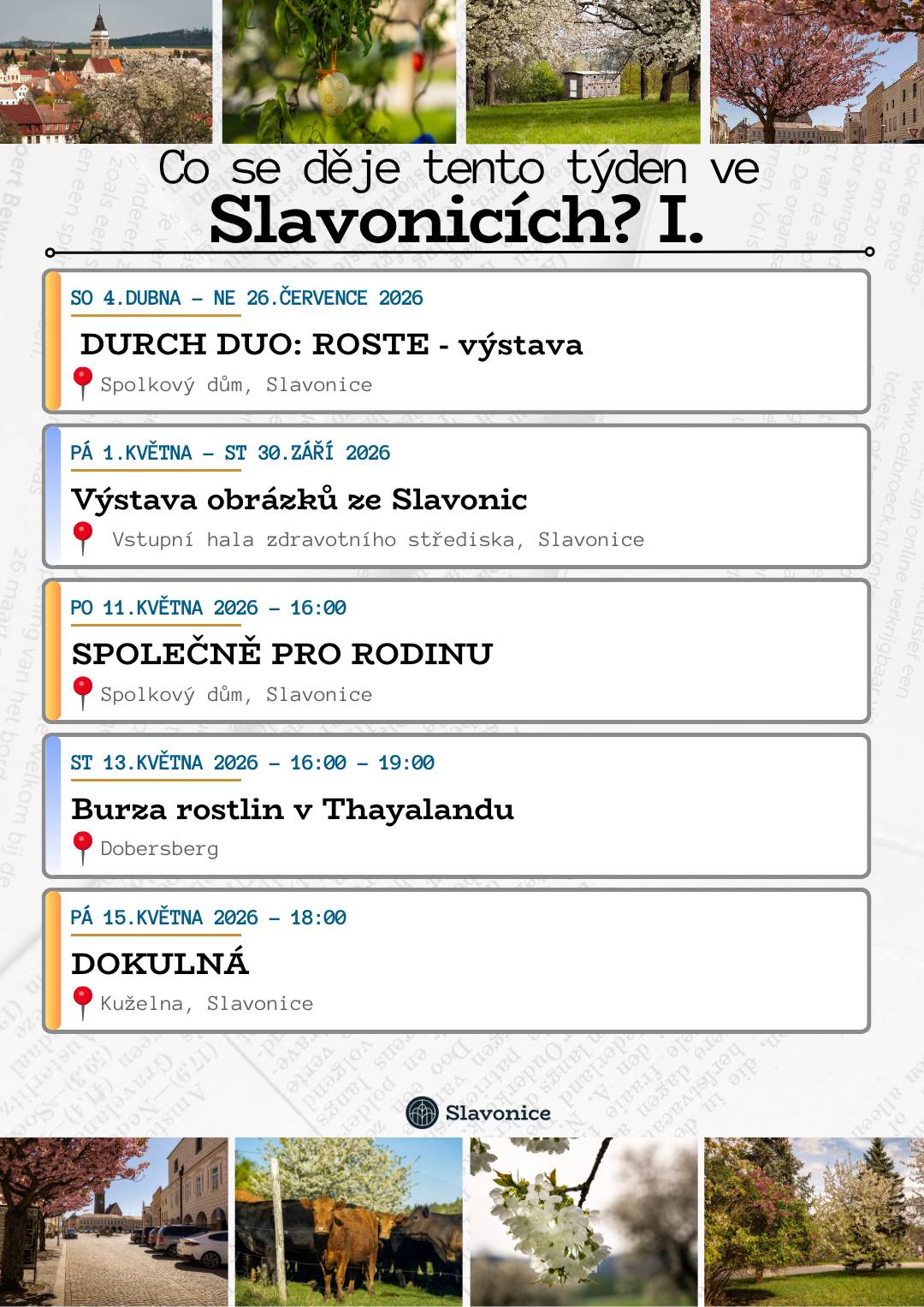 Co se děje tento týden ve Slavonicích?