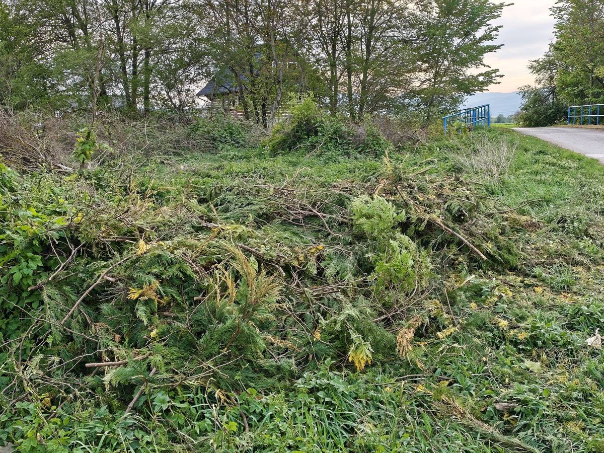 Vážení spoluobčania, obraciame sa na vás so žiadosťou o pomoc pri identifikácii času, kedy došlo k porušeniu zákona o odpadoch. Niekto nelegálne uložil odpad na inom mieste, než je na to určené. 📍 Čo sa stalo? V období medzi 30. 4. 2026 (8:00) a 9. 4. 2026 (17:45) niekto vyhodil väčšie množstvo ostrihaných tují pri miestnej komunikácii (medzi zberným dvorom a mostíkom cez Blatnický potok v blízkosti mosta – viď foto). 📞 Ako môžete pomôcť? Ak ste si v tomto úseku všimli podozrivú aktivitu alebo viete potvrdiť, kedy presne tam tento odpad pribudol (respektíve kedy tam ešte nebol), dajte nám, prosím, vedieť:   📧 E-mail: info@blatnica.sk   📱 SMS: 0903 159 724  📱 Telefonicky: 0903 159 724  Anonymita zaručená: Informácie o ohlasovateľovi nebudú nikomu poskytnuté ani použité v správnom konaní bez jeho výslovného súhlasu. ⚠️ Upozornenie: Pripomíname, že za nezákonné uloženie odpadu hrozí v správnom konaní pokuta až do výšky 1 500 €. Ďakujeme všetkým, ktorým záleží na čistote našej obce! 🌳