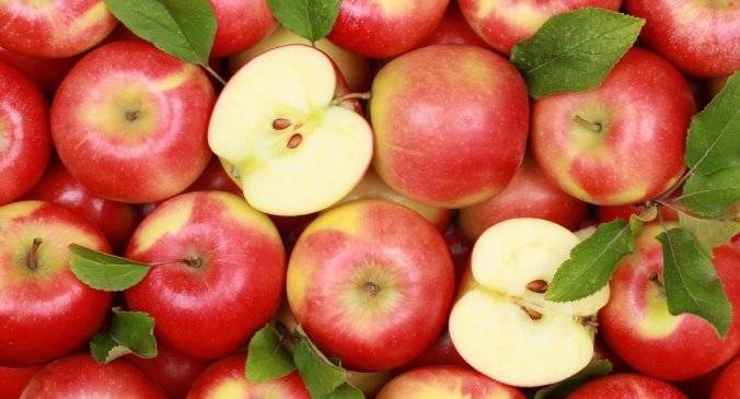 Prodejce pan Synek z Vacenovic oznamuje, že bude ve čtvrtek 14. 5. v době od 13:30 - 14:00 hodin prodávat na prodejním místě jablka golden, jonaprince 25-30kč/kg, brambory na uskladnění 10kg balení brambory 13Kč/Kg a cibuli za 15Kč/kg.
