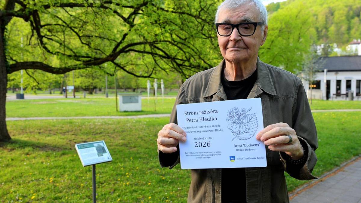 Režisér Peter Hledík oslávil nedávno významné životné jubileum, ktoré si pripomenul nielen v kruhu rodiny a priateľov, ale aj spolu so zástupcami mesta Trenčianske Teplice. Pri tejto príležitosti prijal množstvo blahoželaní a darov, no jeden z nich svojou originalitou a symbolikou výrazne vynikal. Mesto sa rozhodlo venovať oslávencovi netradičný dar – možnosť zasadiť si vlastný strom v Kúpeľný park. Peter Hledík túto ponuku prijal s radosťou a osobne sa zapojil do výsadby. Za asistencie zamestnancov technických služieb, viceprimátora Juraja Jacka a primátorky mesta Zuzany Frajkovej Ďurmekovej sa podieľal na zasadení brestu druhu ulmus dodoens. Tento výnimočný dar nepredstavuje len milé gesto, ale aj trvalú pamiatku, ktorá bude ešte dlhé roky pripomínať významnú osobnosť i jej životné jubileum. Novovysadený strom sa stal symbolom úcty, uznania a poďakovania za prácu a prínos Petra Hledíka pre kultúrny a spoločenský život mesta. Kúpeľný park zároveň obohatil ďalší zelený prírastok, ktorý prispeje k jeho jedinečnej atmosfére a poteší domácich i návštevníkov. Celý počin nesie krásnu myšlienku prepájania významných životných okamihov s prírodou a vytvárania hodnôt, ktoré pretrvajú aj pre budúce generácie. Brest zasadený pri tejto príležitosti tak bude rásť spolu so spomienkami a stane sa živým symbolom výnimočného okamihu v živote čestného občana mesta Trenčianske Teplice, režiséra Petra Hledíka.