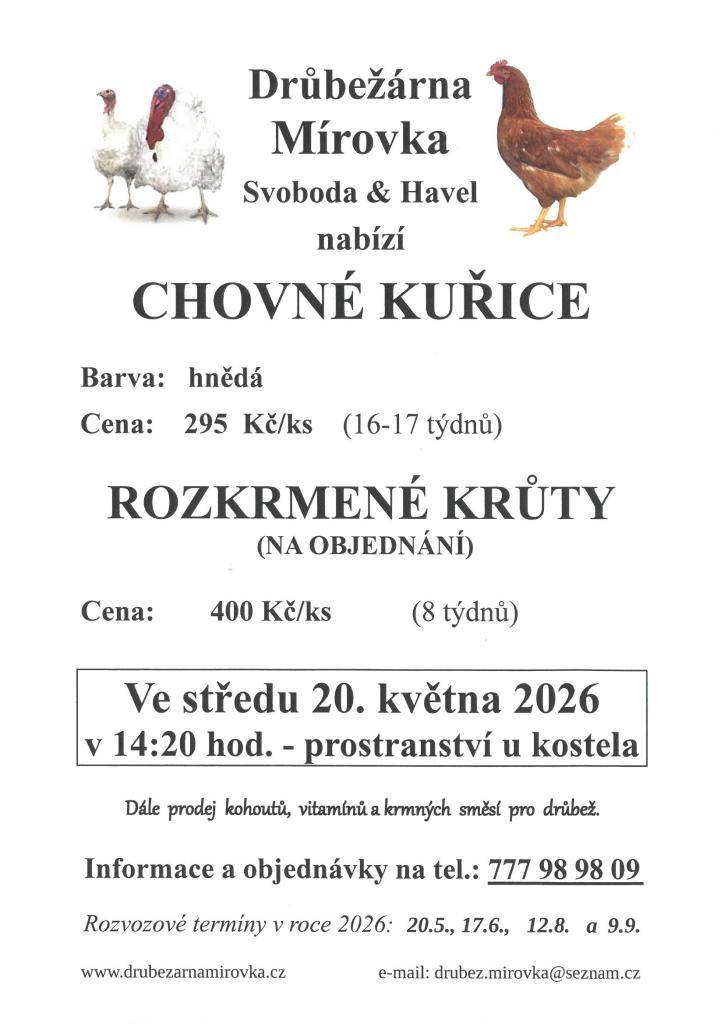 DRŮBEŽÁRNA MÍROVKA, Svoboda-Havel, prodává  ve středu 20.května 2026 v 14:20 hod. u prostranství u kostela  chovné kuřice hnědé - stáří 16-17 týdnů, cena 295 Kč/kus  a rozkrmené krůty na objednání 400,-Kč/kus      Objednání (doporučujeme) je možné na tel.: 777 98 98 09 nebo drubez.mirovka@seznam.cz.