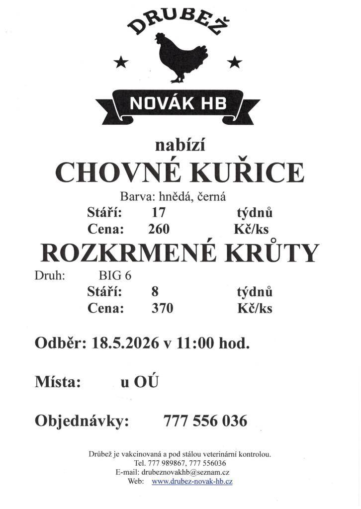 kuřice a krůty