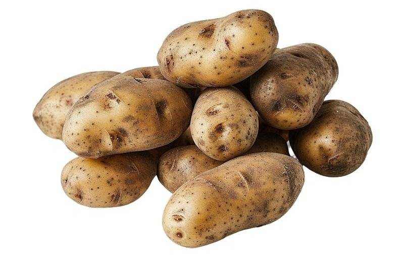 Soukromý zemědělec ze Židlochovic, bude zítra ve čtvrtek 14.05.2026 v 15:00 hod. u obecního úřadu prodávat:  jahody 65,- / kg brambory a cibule 9,- / kg brambory ranné impala 24,- / kg jablka 15,- / kg a ostatní zelenina