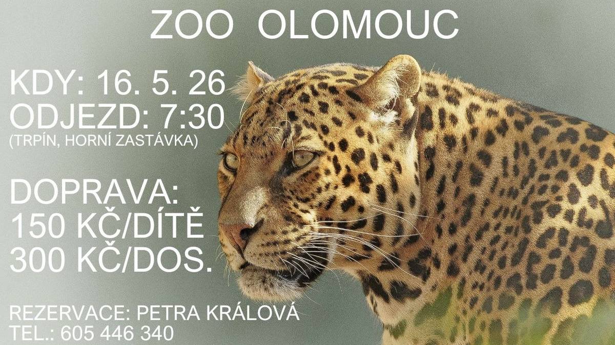 V sobotu 16.5.2026 se koná výlet do ZOO Olomouc, kdo by měl zájem, může se přidat, jsou volná ještě 4 místa. Více informací u p.Petry Králové, tel: 605 446 340