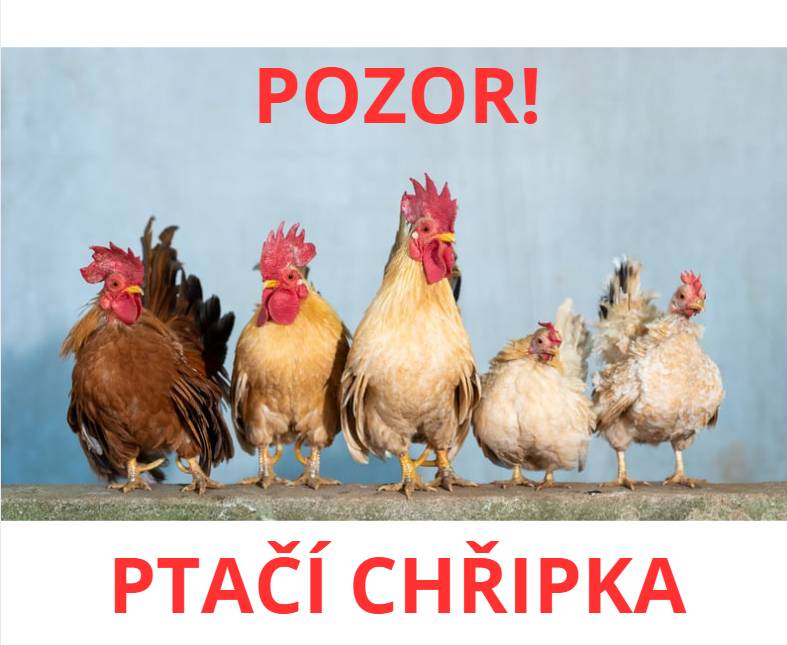 Vážení občané,  v souvislosti s výskytem ptačí chřipky vás vyzýváme ke sdělení počtu ptactva ve vašich chovech a to jako odpověď na tuto zprávu, nebo na ou@hornipena.cz  Uveďte prosím následujici: Chovatel: Adresa: Telefon: Místo chovu: Počet hrabavé drůbeže: Počet drůbeže vodní: Počet drůbeže ostatní: Určení:(pro vlastni spotřebu/prodej/oboje) Počet holubů: Počet jiného ptactva:  Určení holubů či jiného ptactva:(pro vlastní spotřebu/prodej/oboje)  Děkujeme za spolupráci