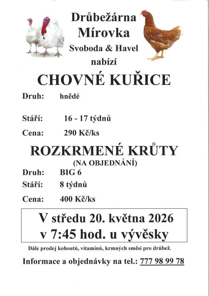 Drůbežárna Mírovka přijede nabízet chovné kuřice 20.5.2026 v 7:45 hod. Na Rynku, Stáří 16.-17.týdnů, cena 290,-Kč/ks, barva: hnědá. Rozkrmenné krůty na objednání, stáří 8.týdnů, cena 400,-Kč/ks. Informace a objednávky 777 98 99 78.