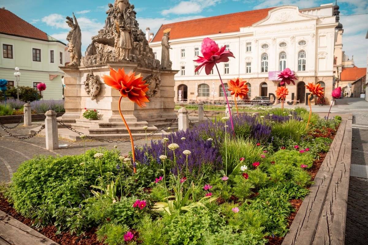 Trnava bude ešte krajšia. Na Námestí kráľovnej Konštancie aj na Trojičnom námestí pribudnú nové výsadby, ktoré prinesú do centra mesta farby, vône a trochu kráľovskej symboliky.     Záhon na Námestí kráľovnej Konštancie bude inšpirovaný ranogotickou ružicou a históriou kráľovského mesta. V jemných tónoch bielej, ružovej a purpurovej odkáže aj na kráľovskú vznešenosť, s ktorou sa tieto farby v minulosti spájali.     Trojičné námestie zas rozžiaria pestré letničky, trvalky a okrasné trávy. Najvýraznejší efekt dosiahnu počas leta, no potešia až do prvých mrazov.     Ak sa vám páčil jarný záhon s takmer 18 000 cibuľovinami, v piatok 15. mája od 9.00 h si môžete na nádvorí radnice odniesť kúsok tejto krásy aj domov. Budeme rozdávať cibuľky tulipánov a narcisov.     Viac informácií nájdete v tomto článku.